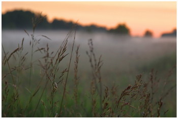 Nebel zerstreut / ***