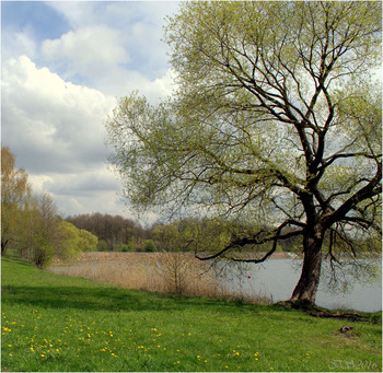 Frühling Etüde / [img]https://i.imgur.com/KTeEVRS.jpg[/img]
