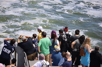  / Whale watching cruise.