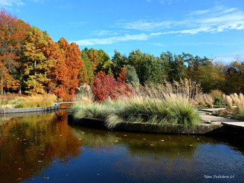 Loki Schmidt Garten Hamburg / ***