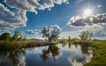 Frühlingsbilder / ***