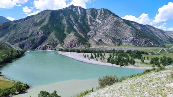 Fusionskontrollverordnung. / ***