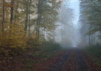 Über Herbst ... / ***