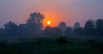 Sommermorgen. / ***