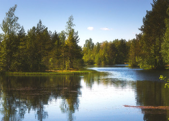&nbsp; / ***