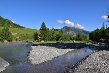 Gorny Altai. / ***