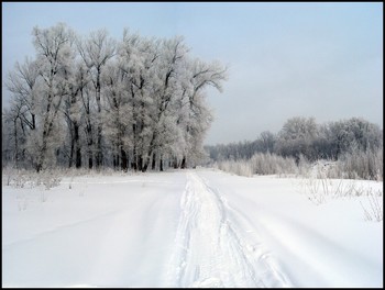 Winterlandschaft / ***