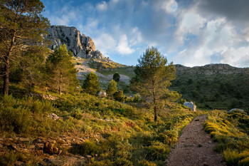 Mountain Trail / ***