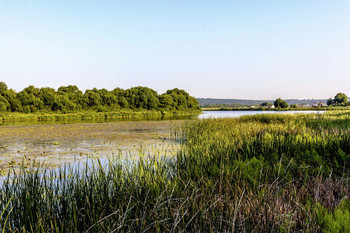 Am Morgen auf dem See / ***