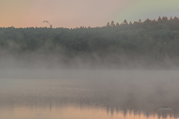 Nebel zerstreut / ***