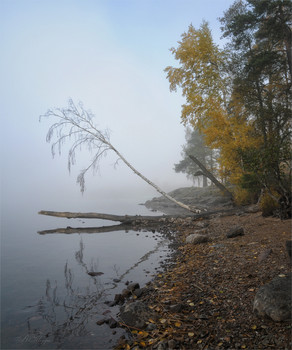 Der Geruch des Herbstes / ***