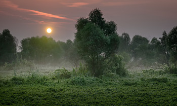 Morgendämmerung / ***