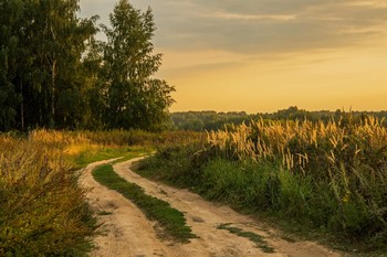 Golden Evening / ***