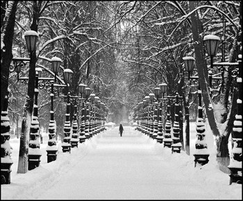 Winter alley / ***