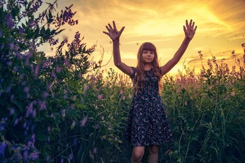 Hands up / ***