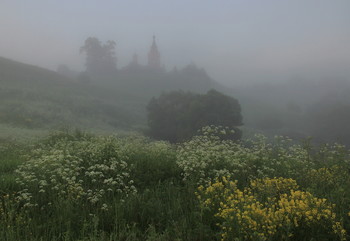 In den dichten Nebel / ***