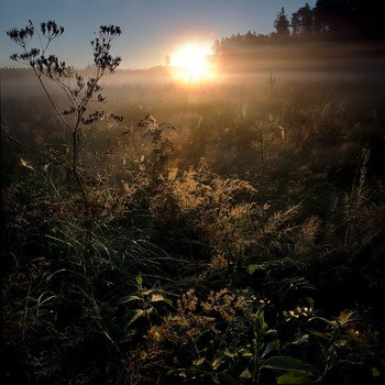 Morgendämmerung / ***