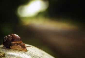 Auf der Straße / ***