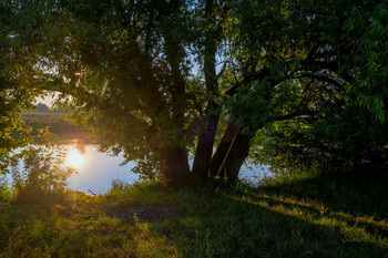 Am See. / ***