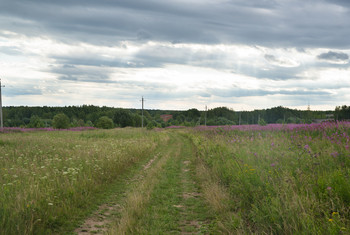 Feldstraße / ***
