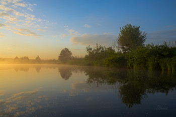 In der Morgendämmerung. / ***