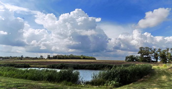 Am Teich / ***