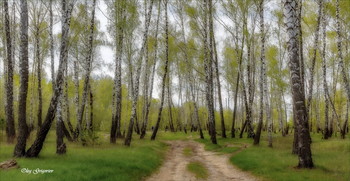 Frühling im Wald. / ***
