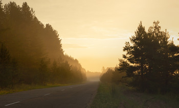 Auf dem Weg / ***