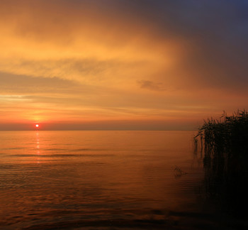 Abend / ***