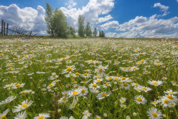 Über Sommer ... / ***