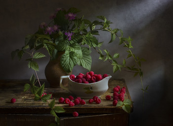 Himbeere / ***