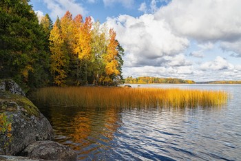 Herbst im Mon Repos / ***