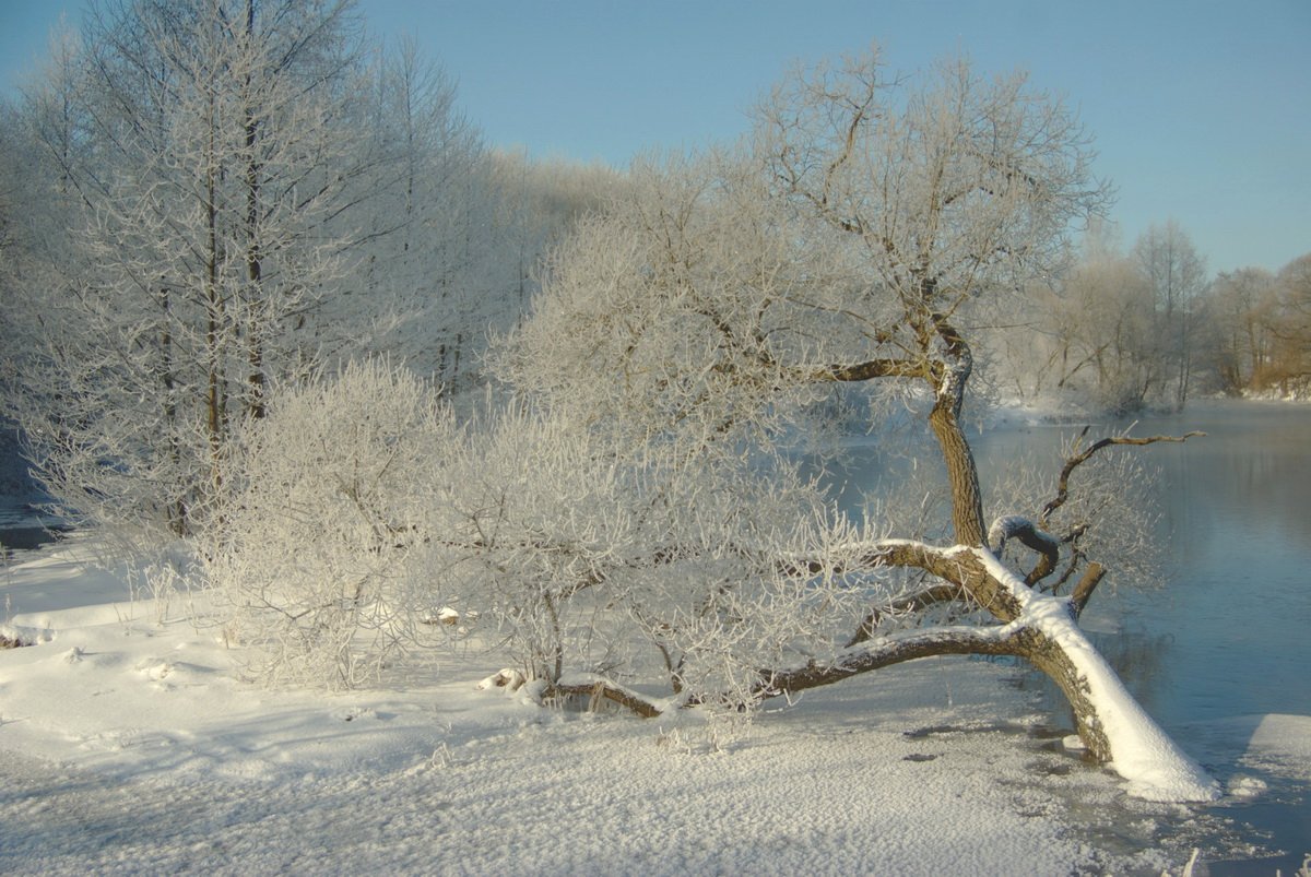Second winter. Апрельская зима картинки. Канев зима II 4.