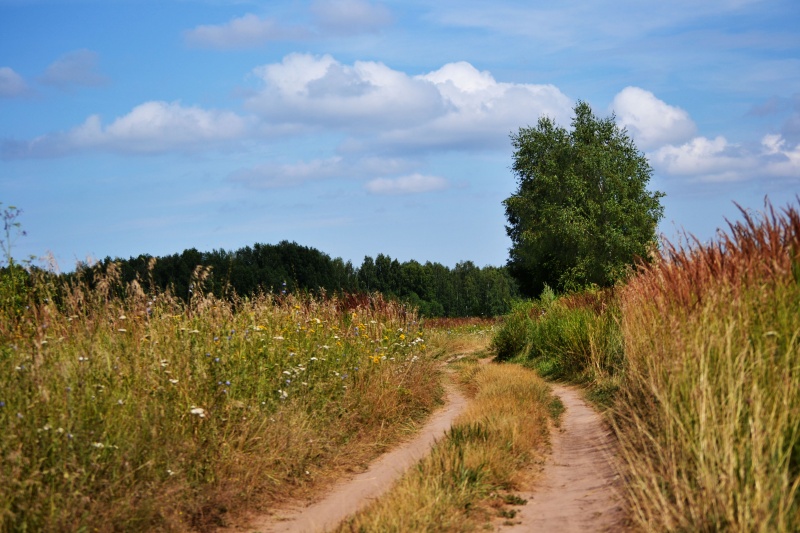 Село просторе