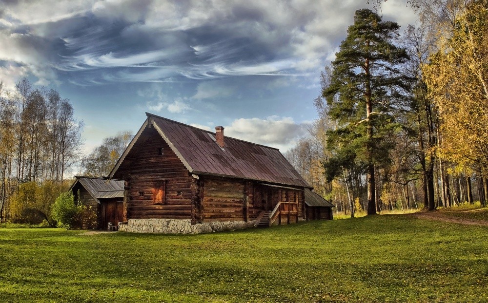 Фото лес деревня