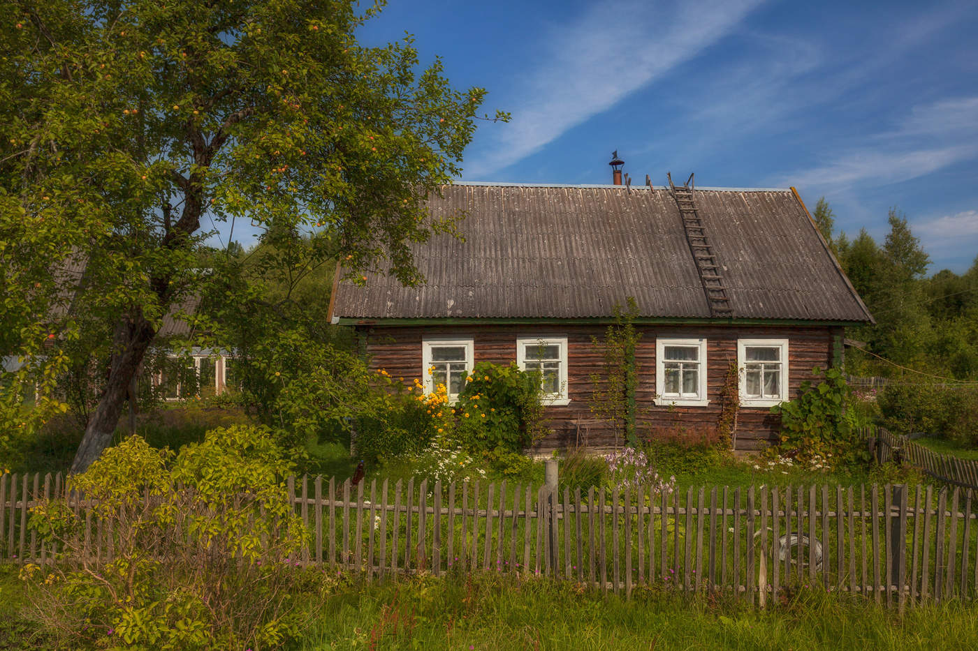 Улица новая деревня. Деревенский дом. Домик в деревне. Старый дом в деревне. Старенький домик в деревне.