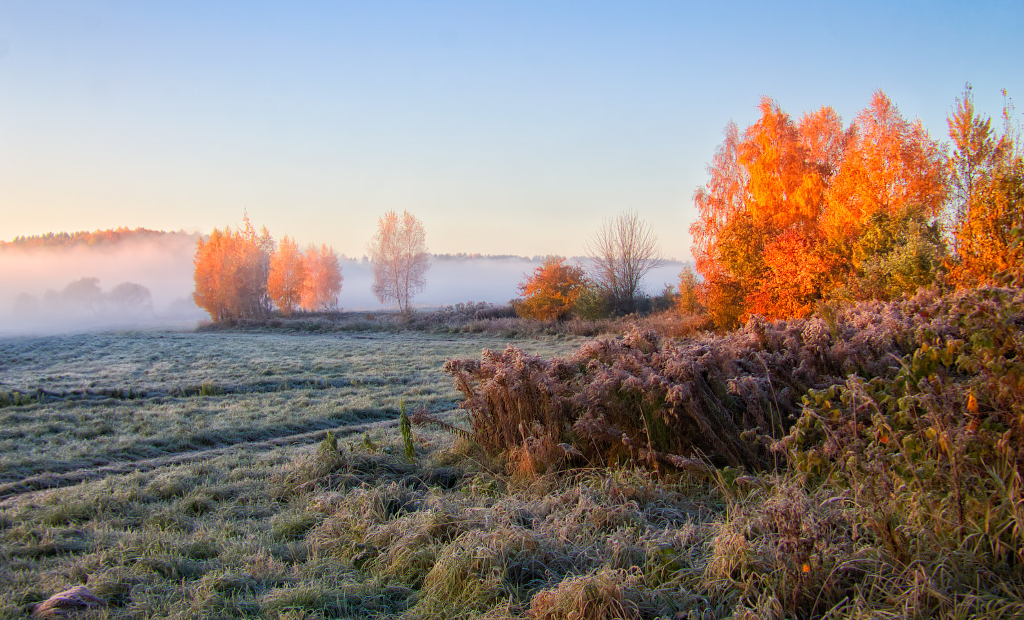 Осенние холодные туманы. Осень туман. Осенняя Заря. Морозное осеннее утро. Утренний осенний пейзаж.