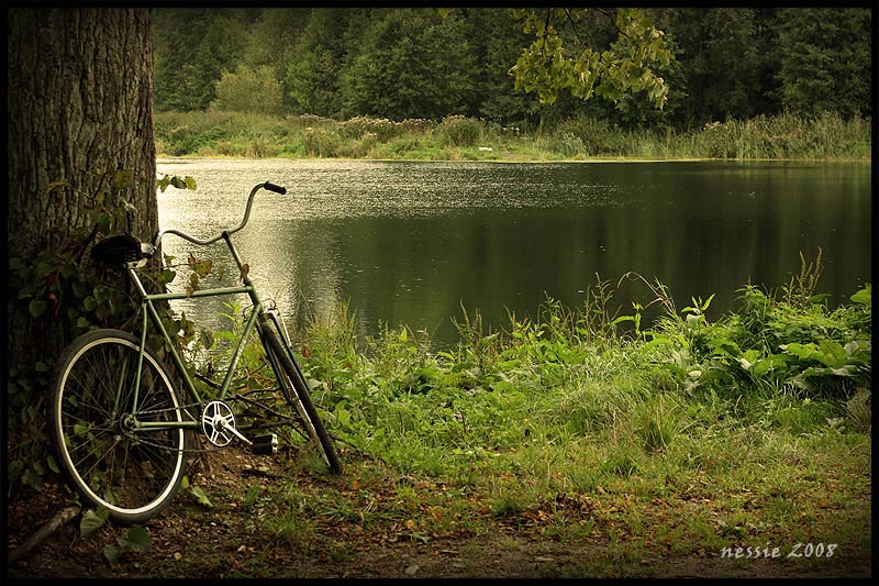 Велосипед для деревни. Велик на природе. Велосипед у озера. Деревенский велосипед. Велосипед в лесу.