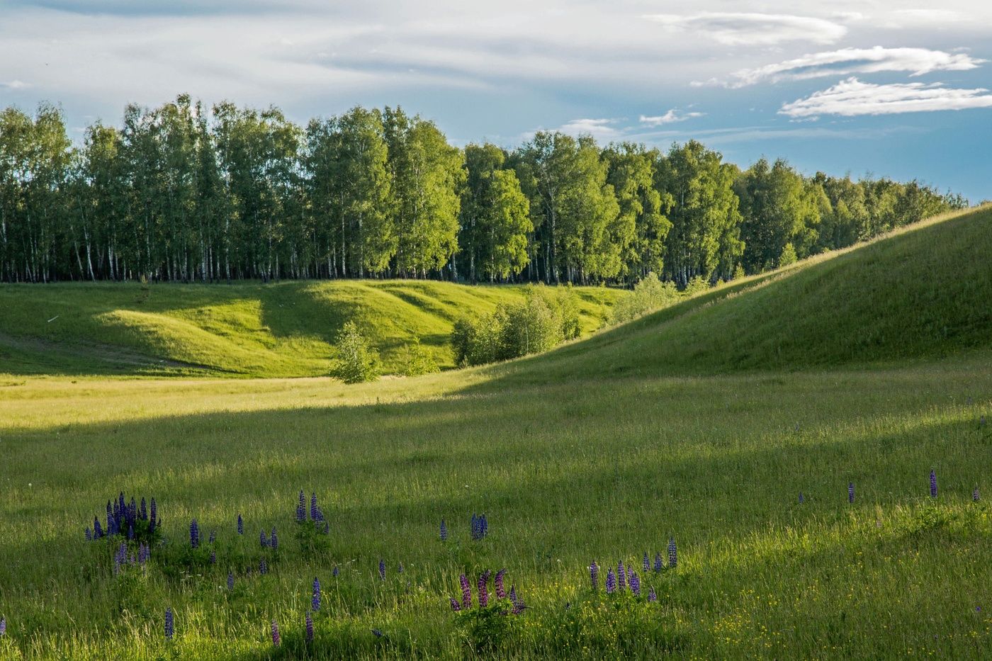 Природа татарстана. Удмуртия Холмистая равнина. Природа , Республика Татарстан (Татарстан). Холмы Татарстана. Родные просторы Татарстана пейзаж.